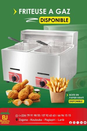 Friteuse a gaz