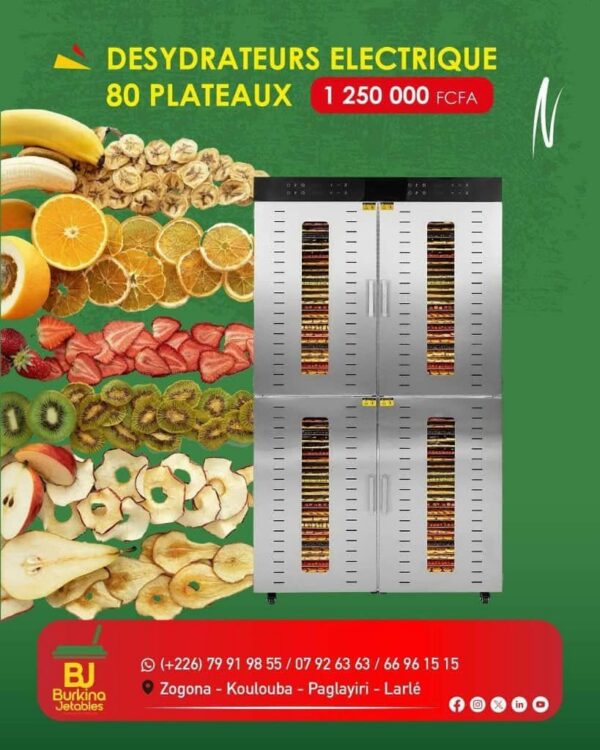 Desydrateur électronique 80 plateaux